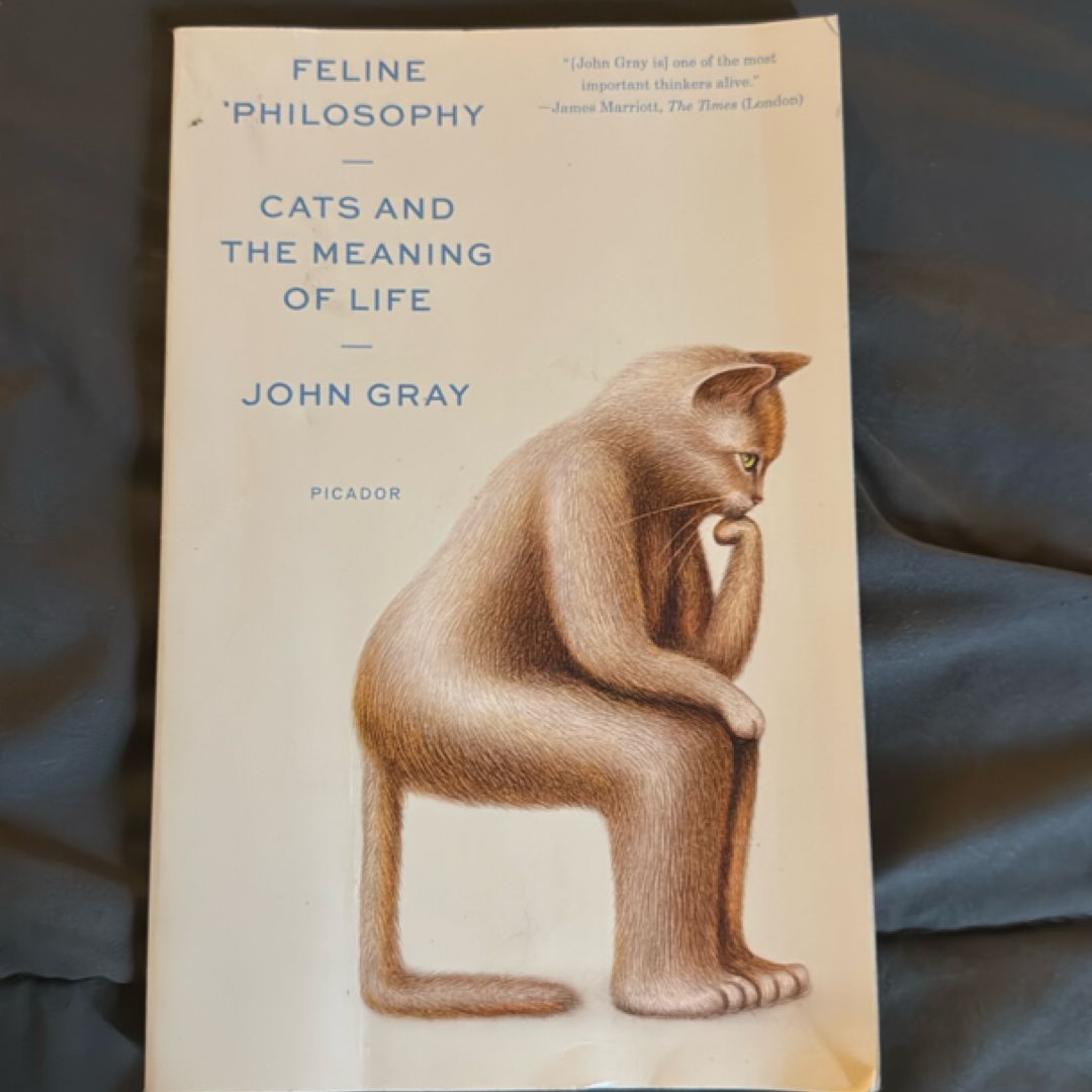 Feline Philosophy
