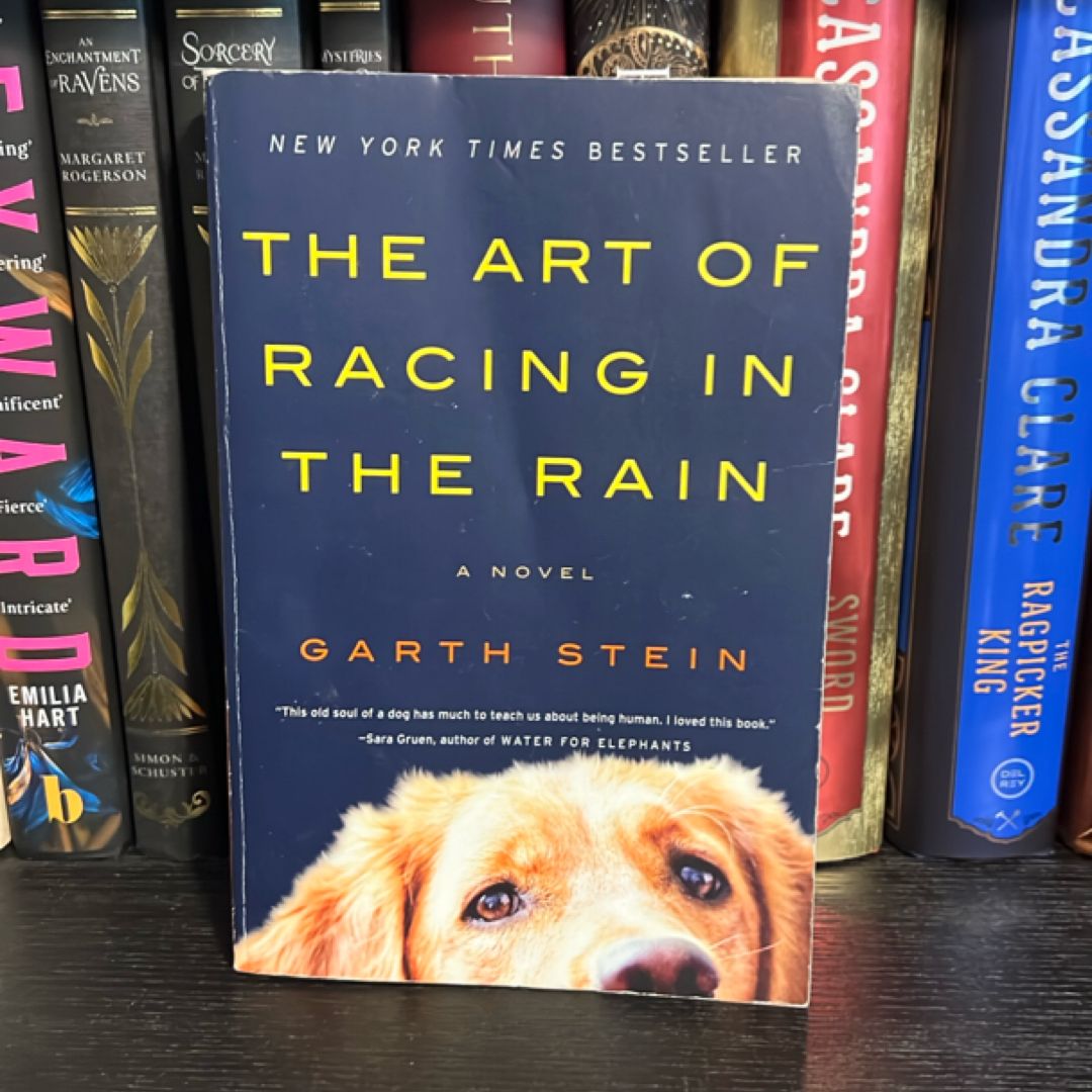 The Art of Racing in the Rain