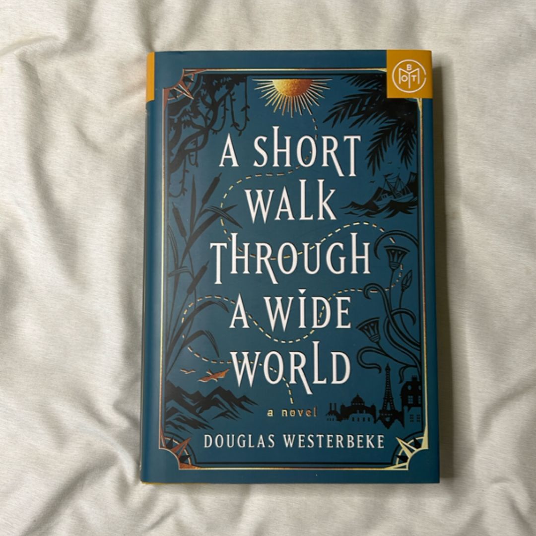 A Short Walk Through a Wide World