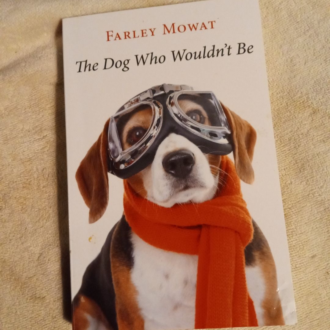 The Dog Who Wouldn't Be