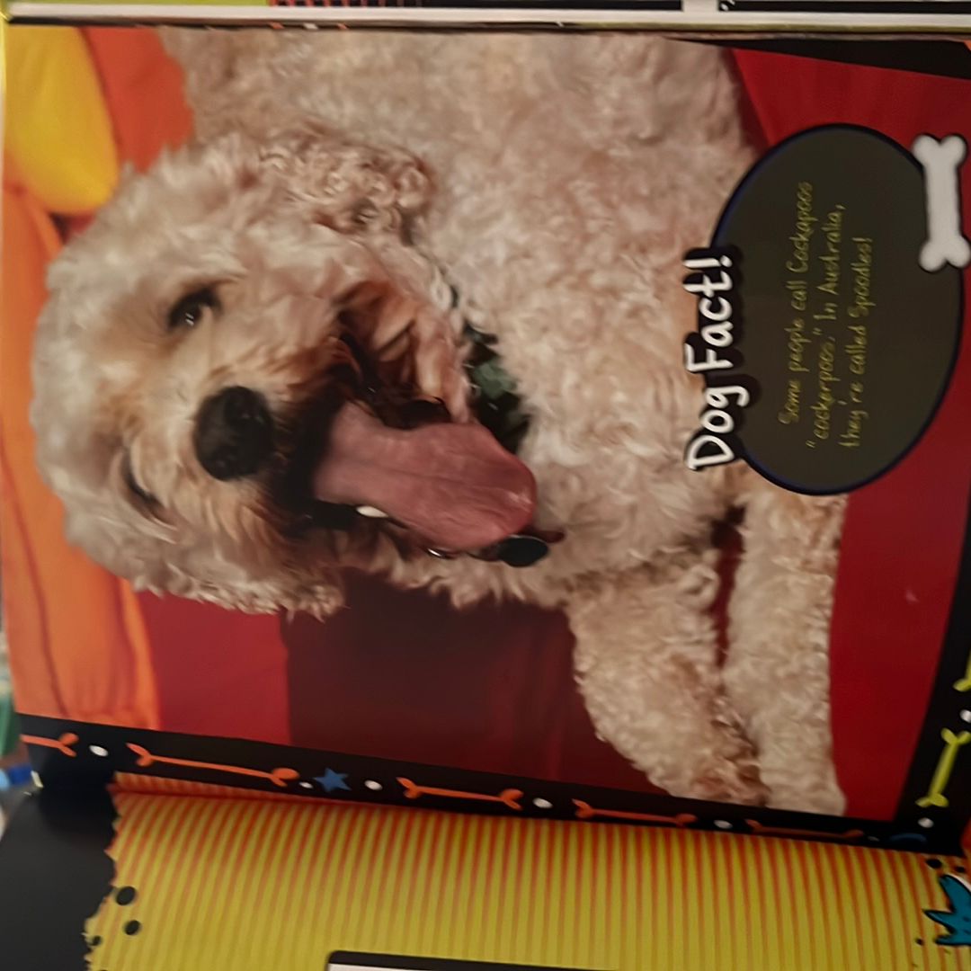 Cockapoo by Sheri A. Johnson