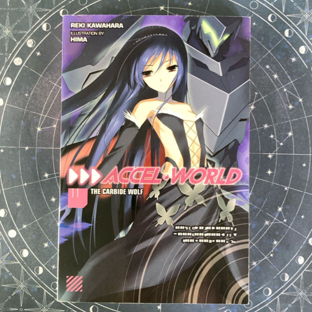 Accel World, Vol. 11 (light Novel)