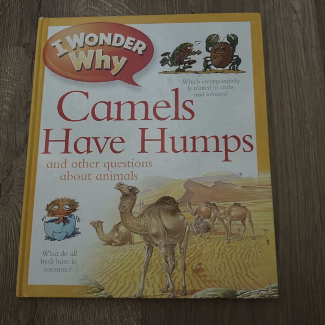 I Wonder Why Camels Have Humps