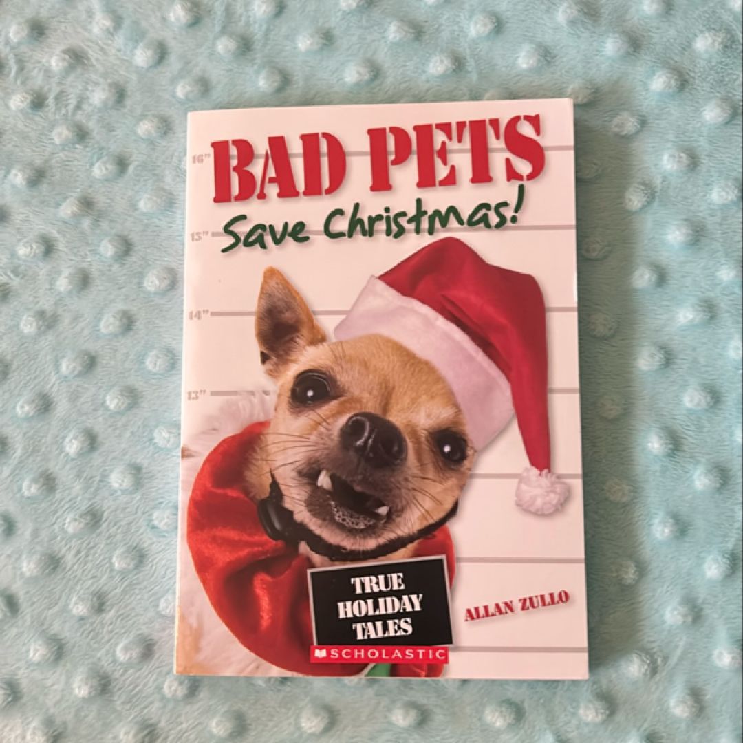 Bad Pets Save Christmas!