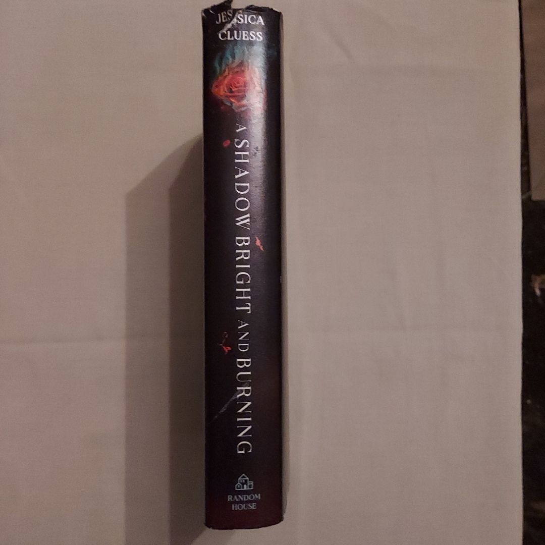 A Shadow Bright and Burning