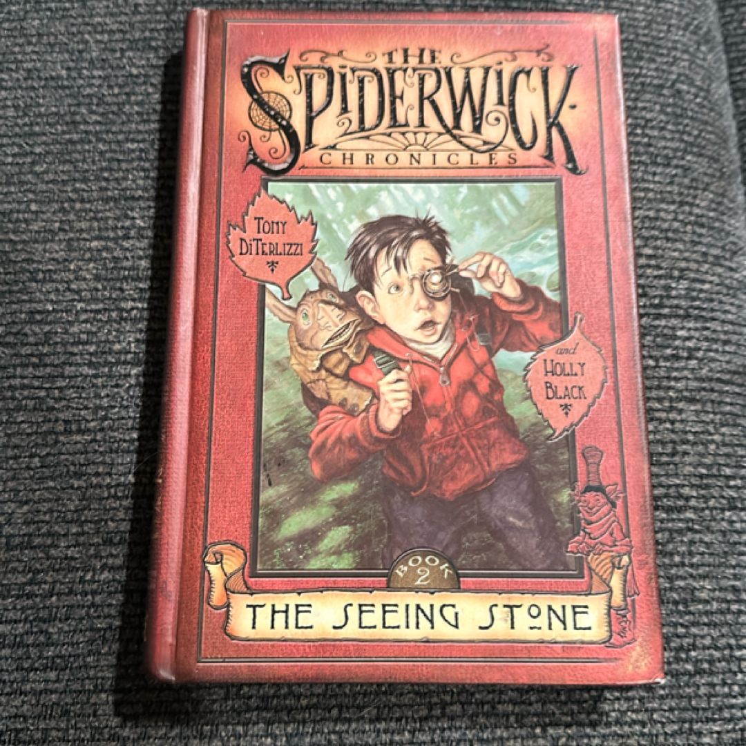 The Seeing Stone
