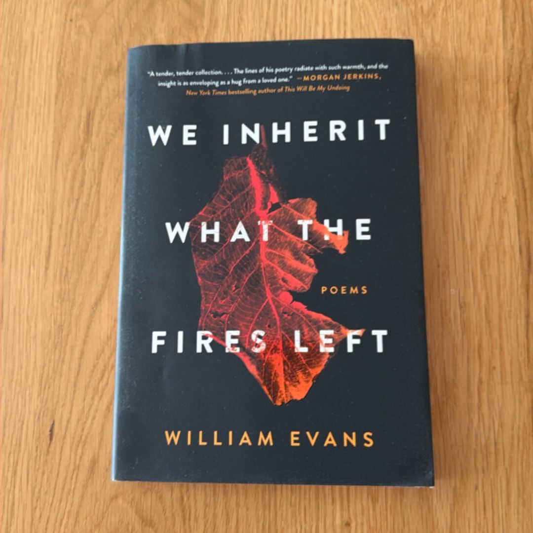 We Inherit What the Fires Left