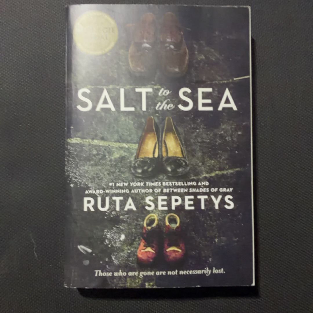 Salt to the Sea