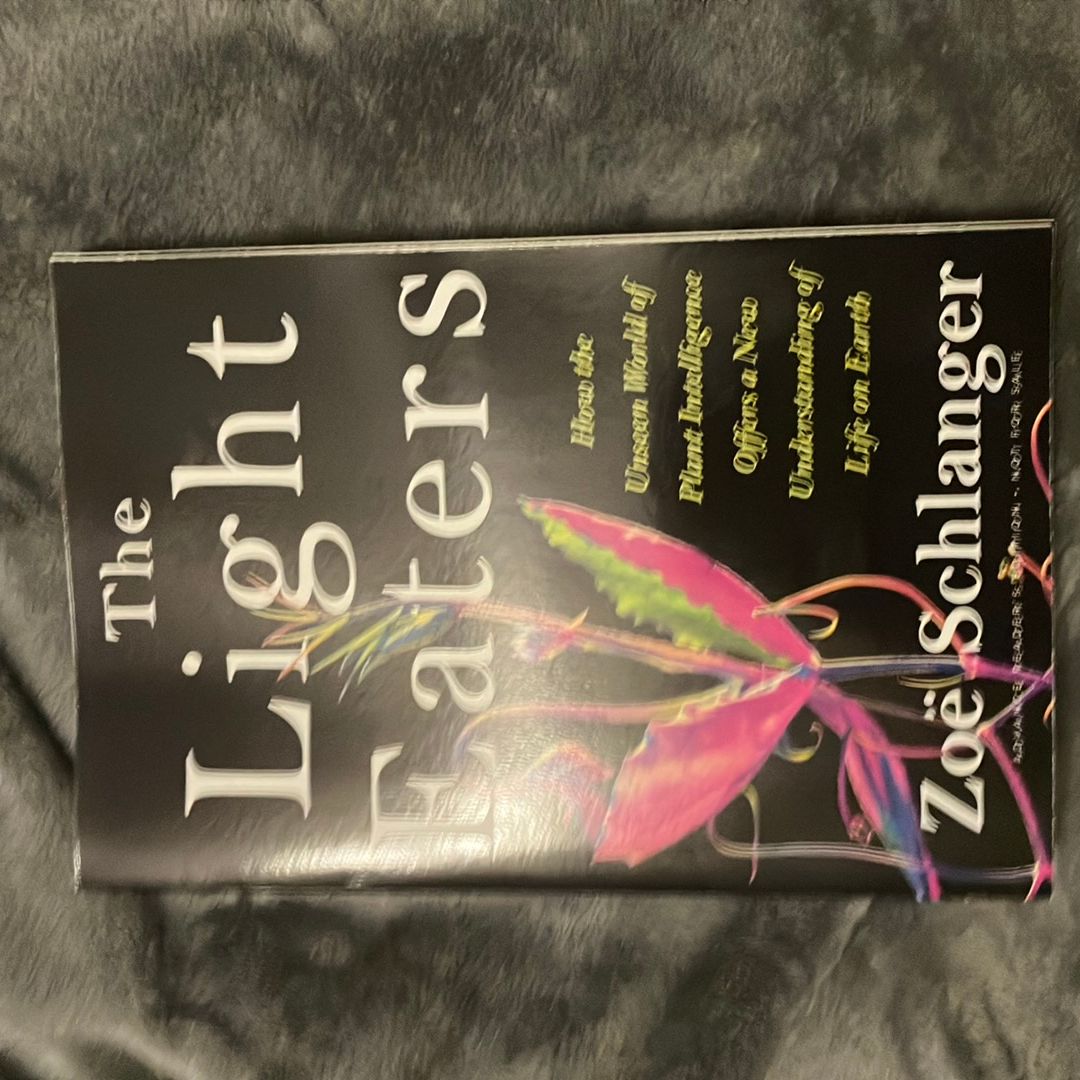 The Light Eaters