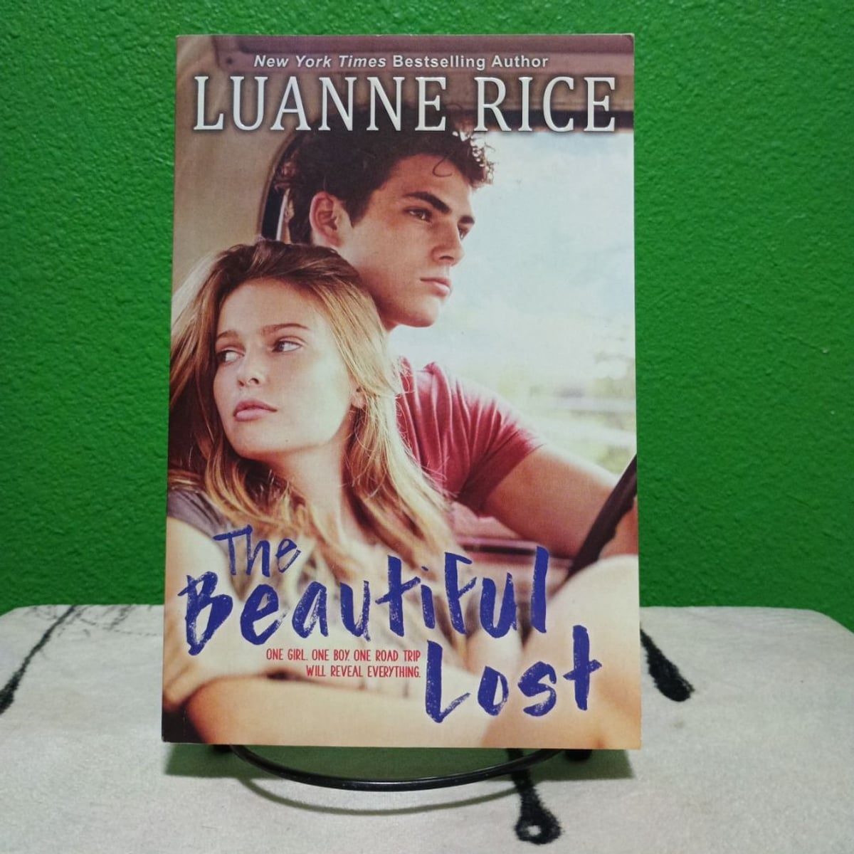 The Beautiful Lost by Luanne Rice