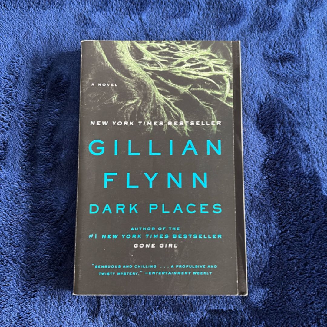 Dark Places – Thriller / Mystery Novel (Gillian Flynn)