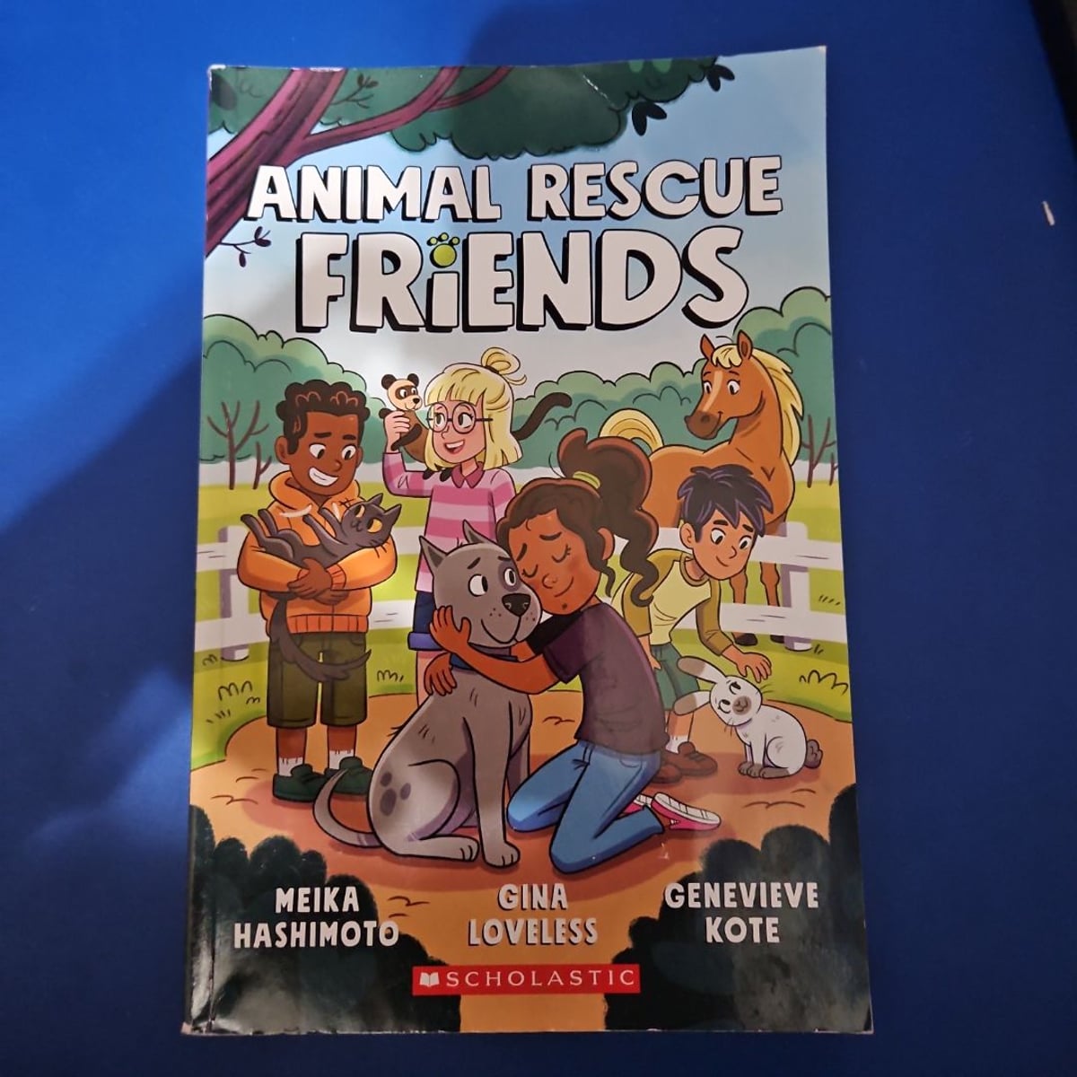 ANIMAL RESCUE FRIENDS by Meika Hashimoto; Gina | PangoBooks