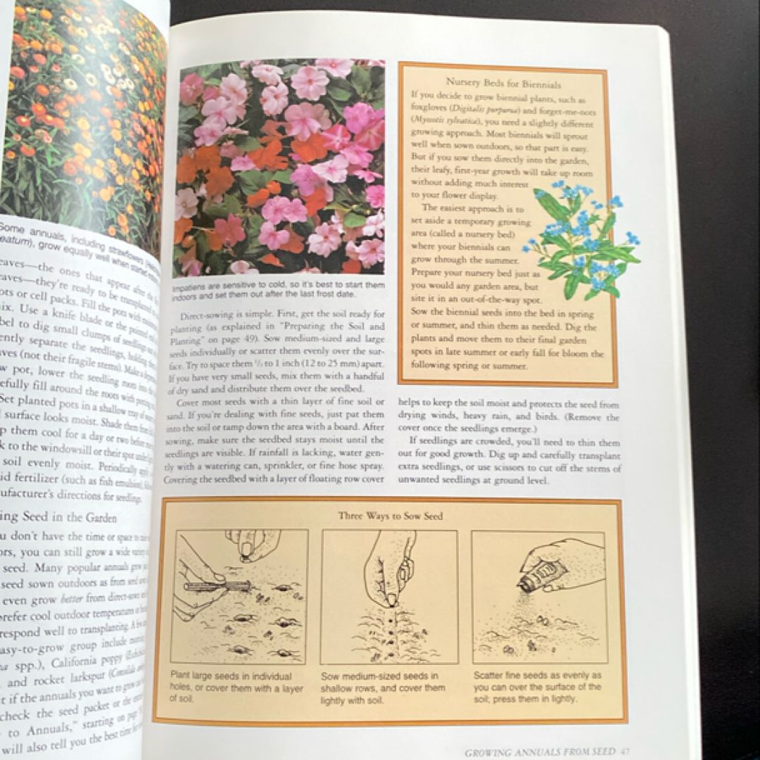 Rodale's Annuals and Bulbs