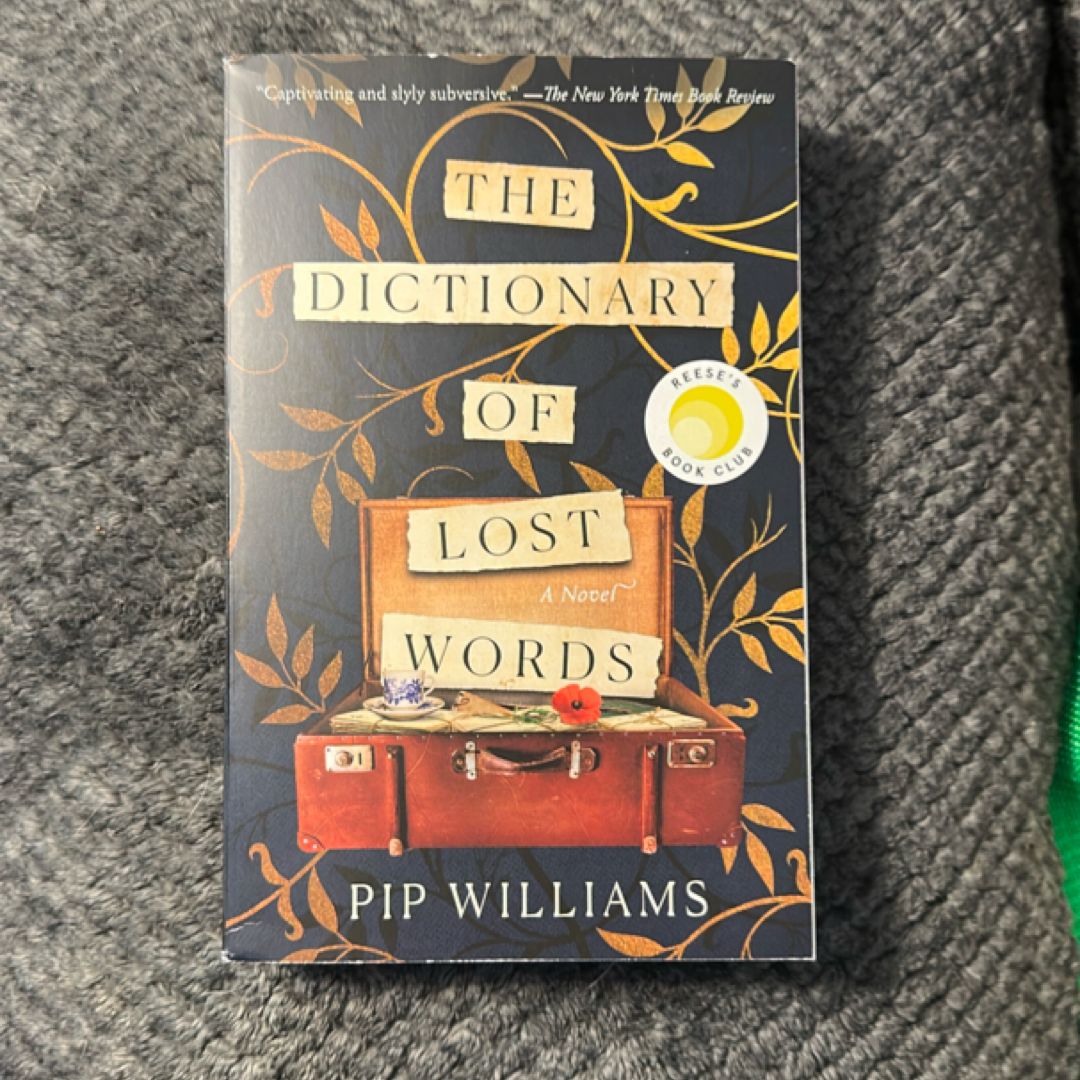 The Dictionary of Lost Words