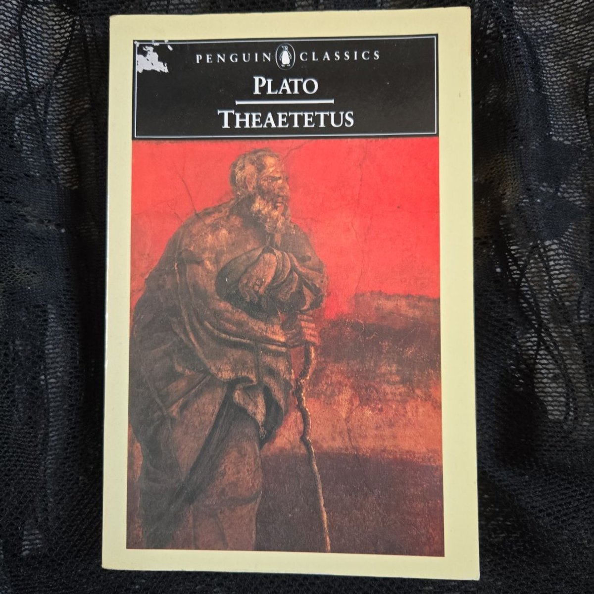 Theaetetus by Plato, Robin H. Waterfield