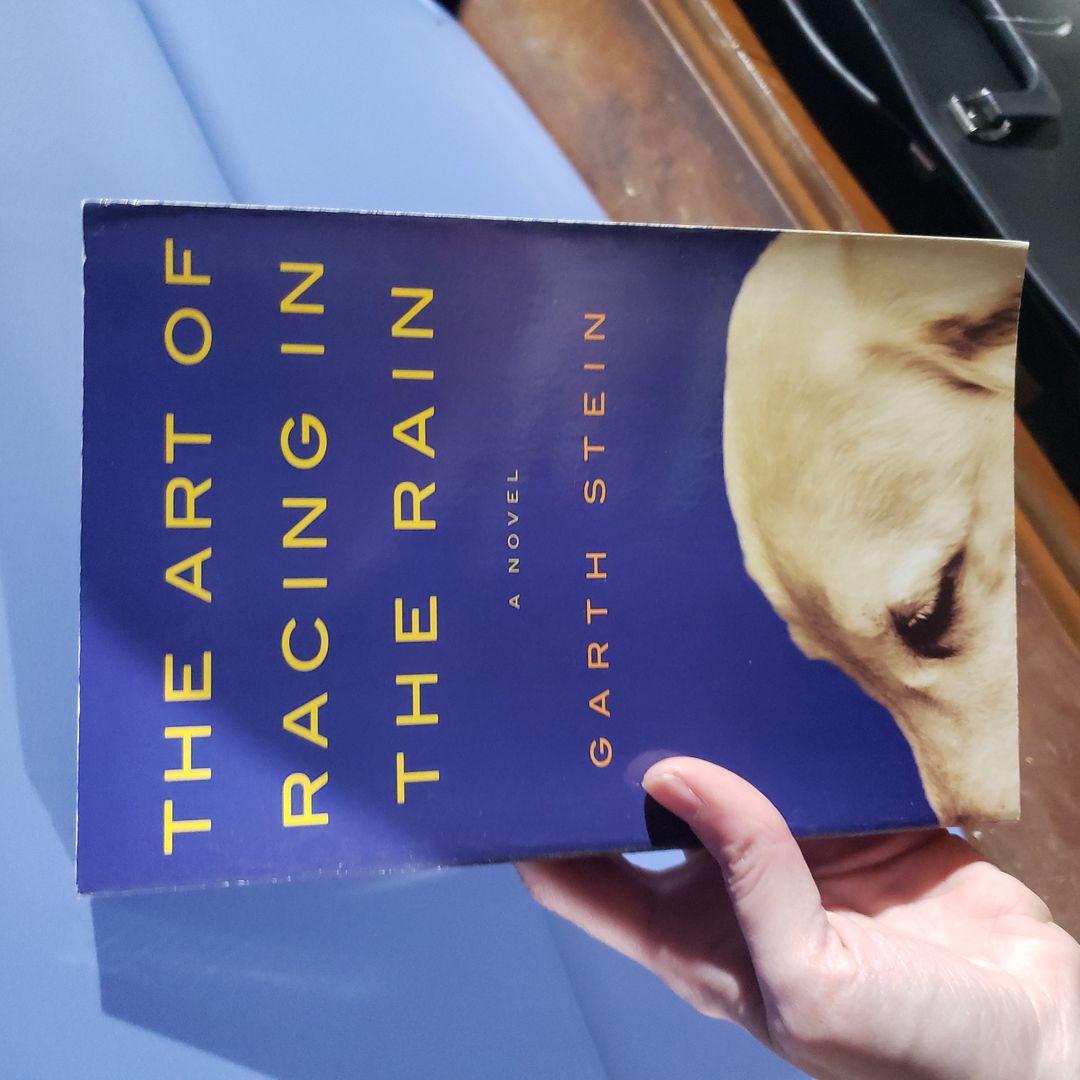The Art of Racing in the Rain A Novel