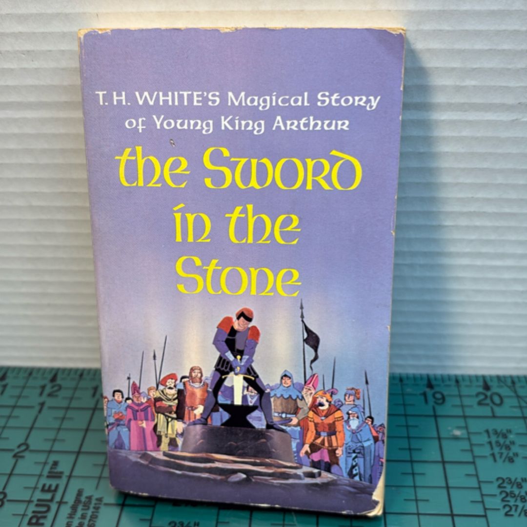 The sword and the stone 