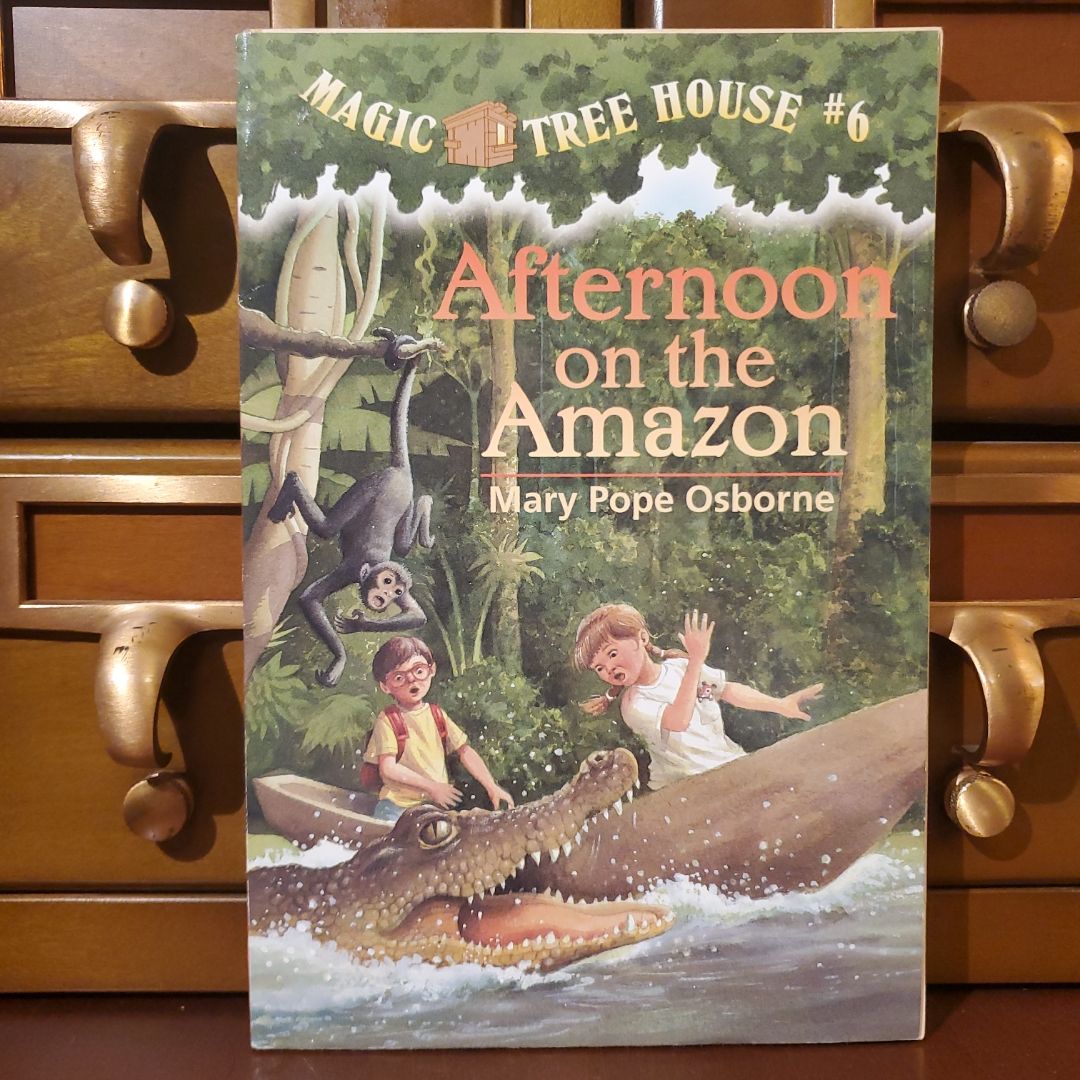 Afternoon on the Amazon