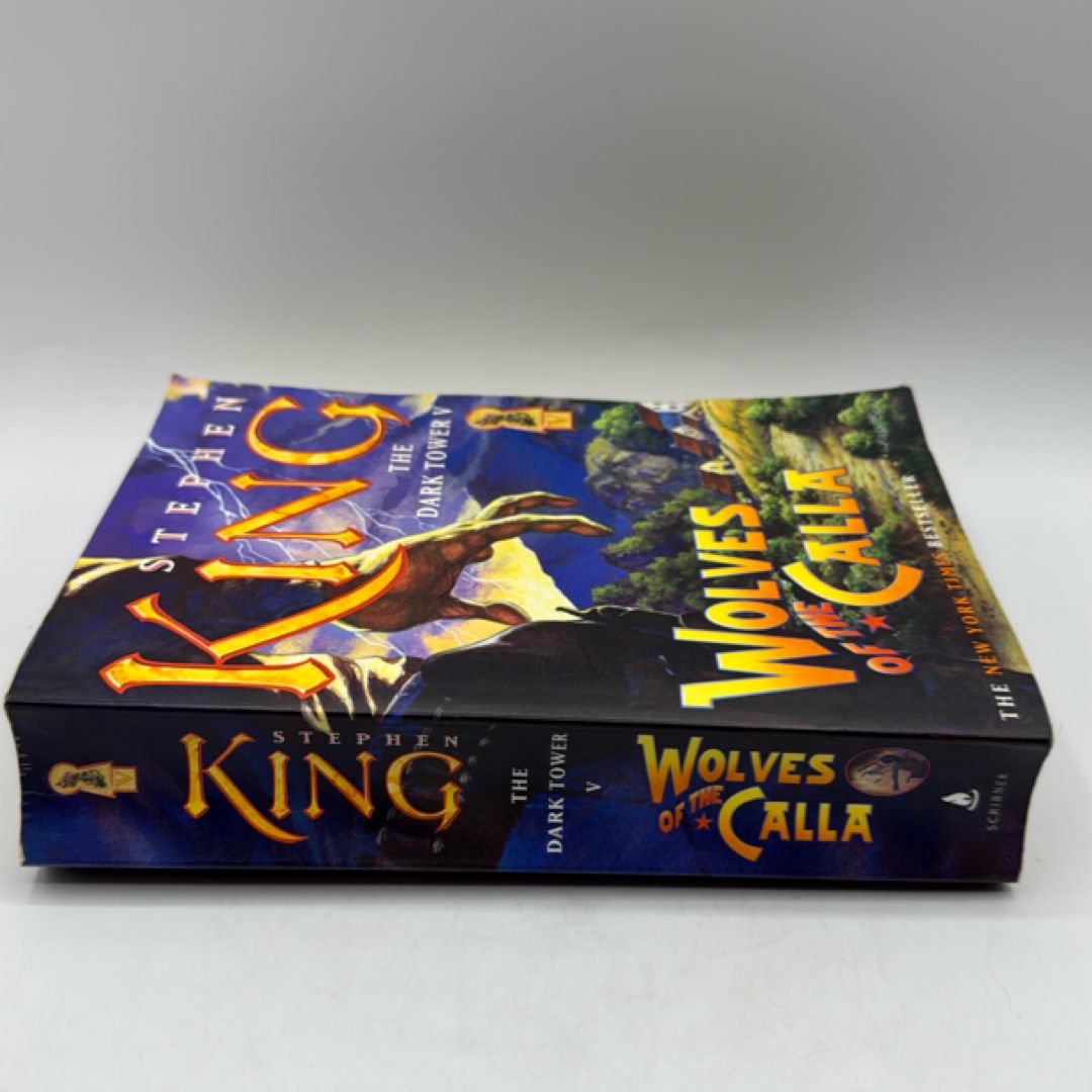 The Dark Tower V
