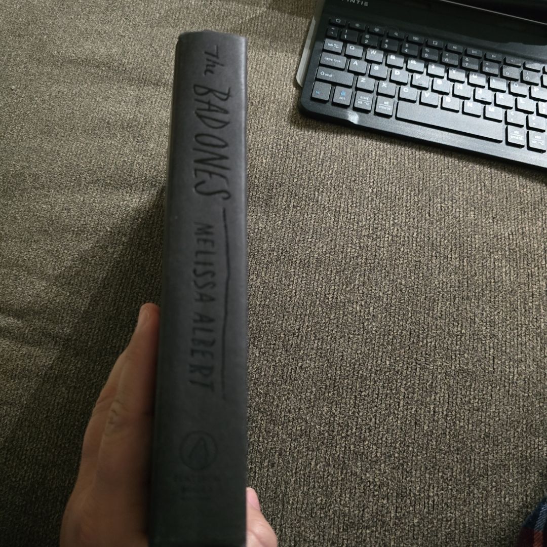 The Bad Ones A Novel