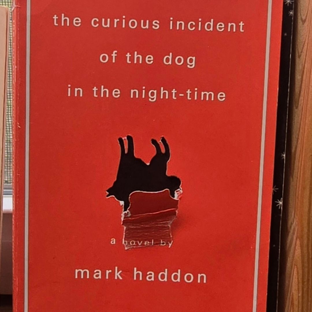 The Curious Incident of the Dog in the Night-Time