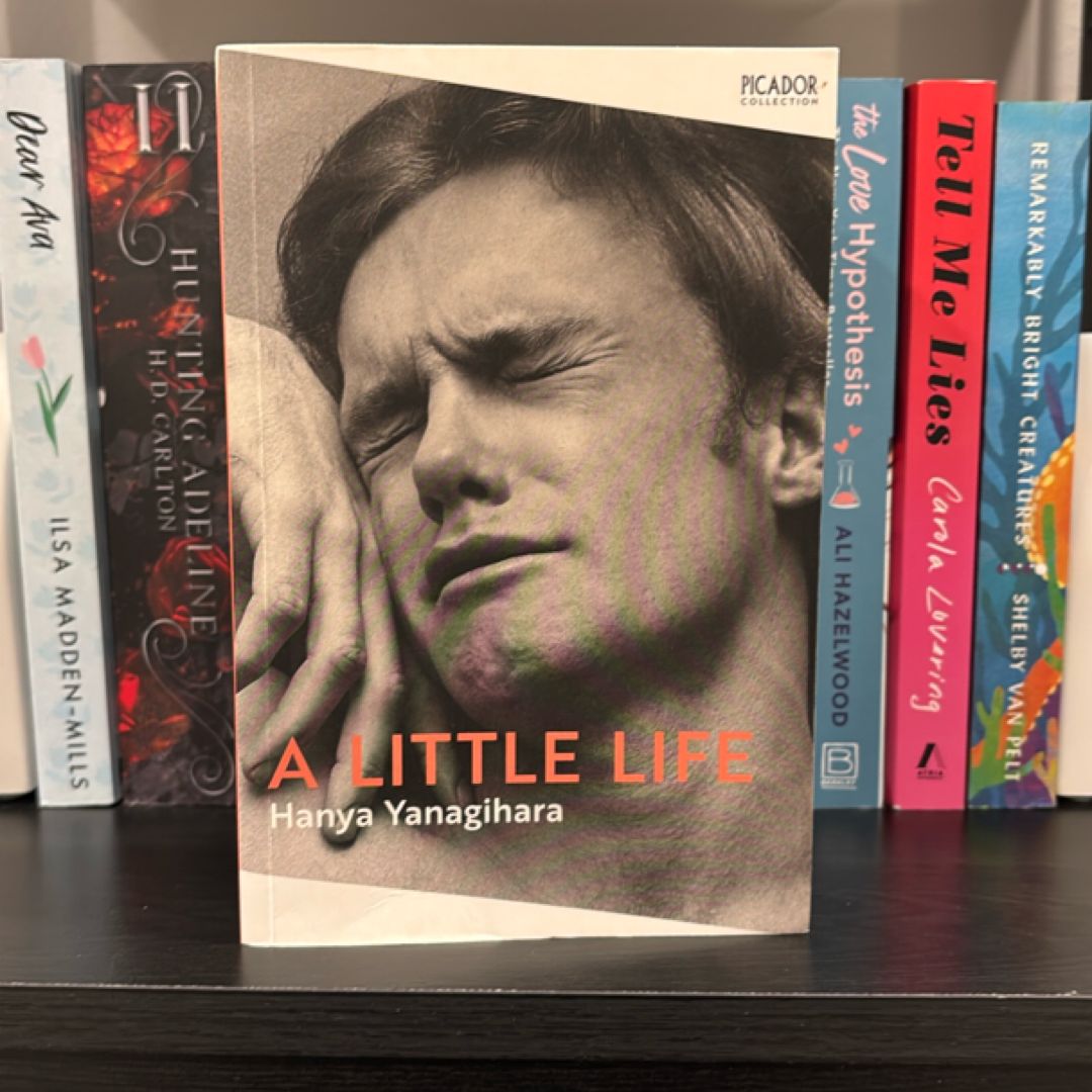 A Little Life: The Million-Copy Bestseller