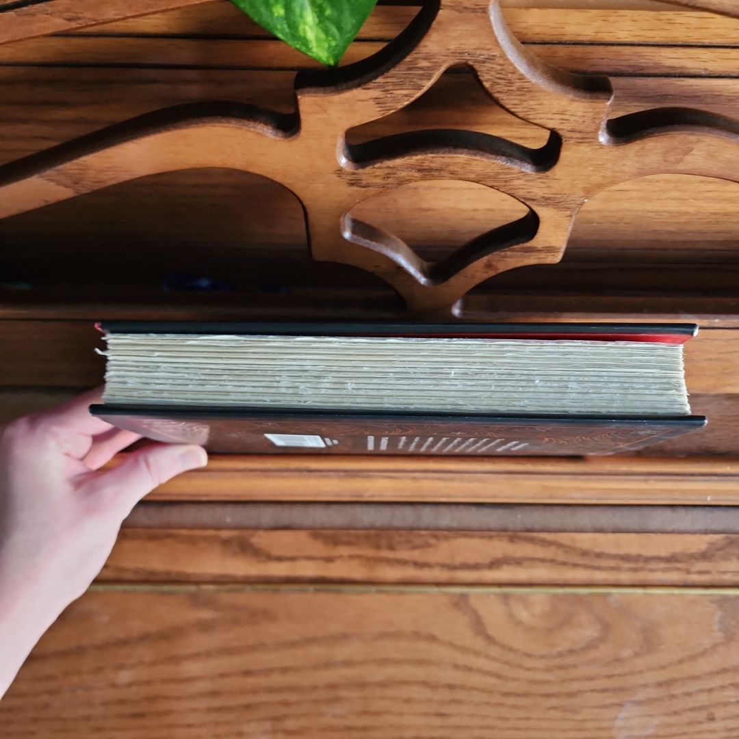 The Afterlife of Holly Chase