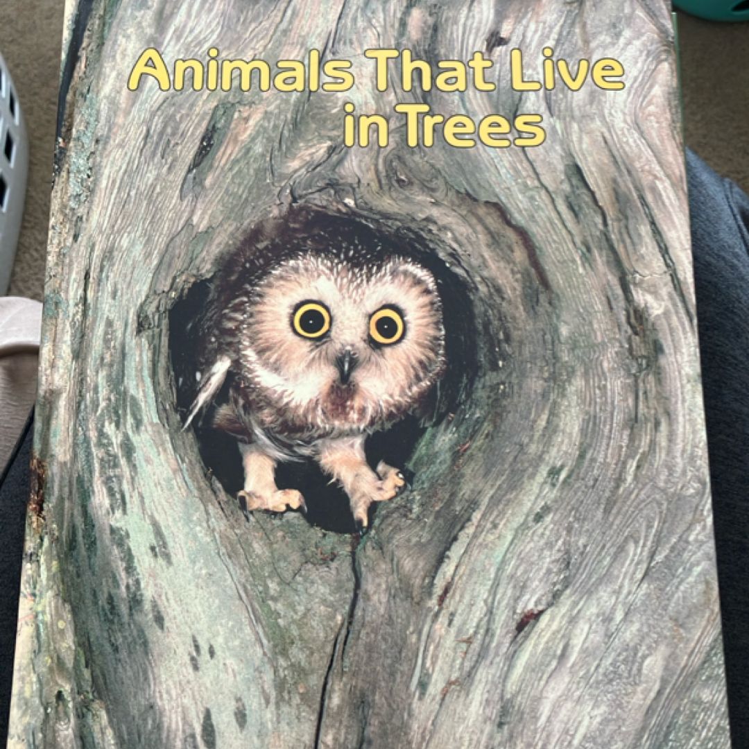 Animals That Live in Trees