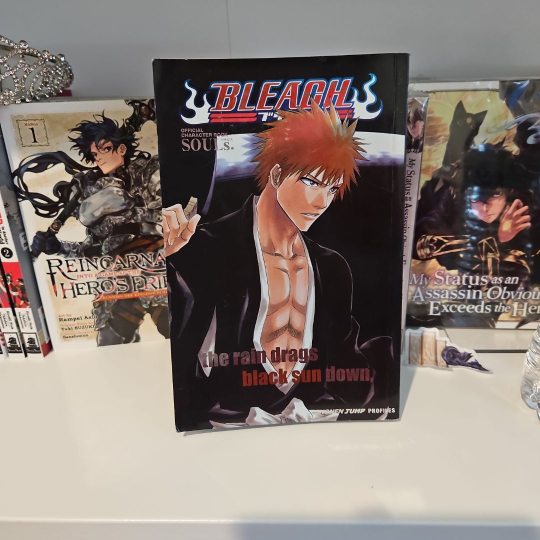Bleach SOULs. Official Character Book