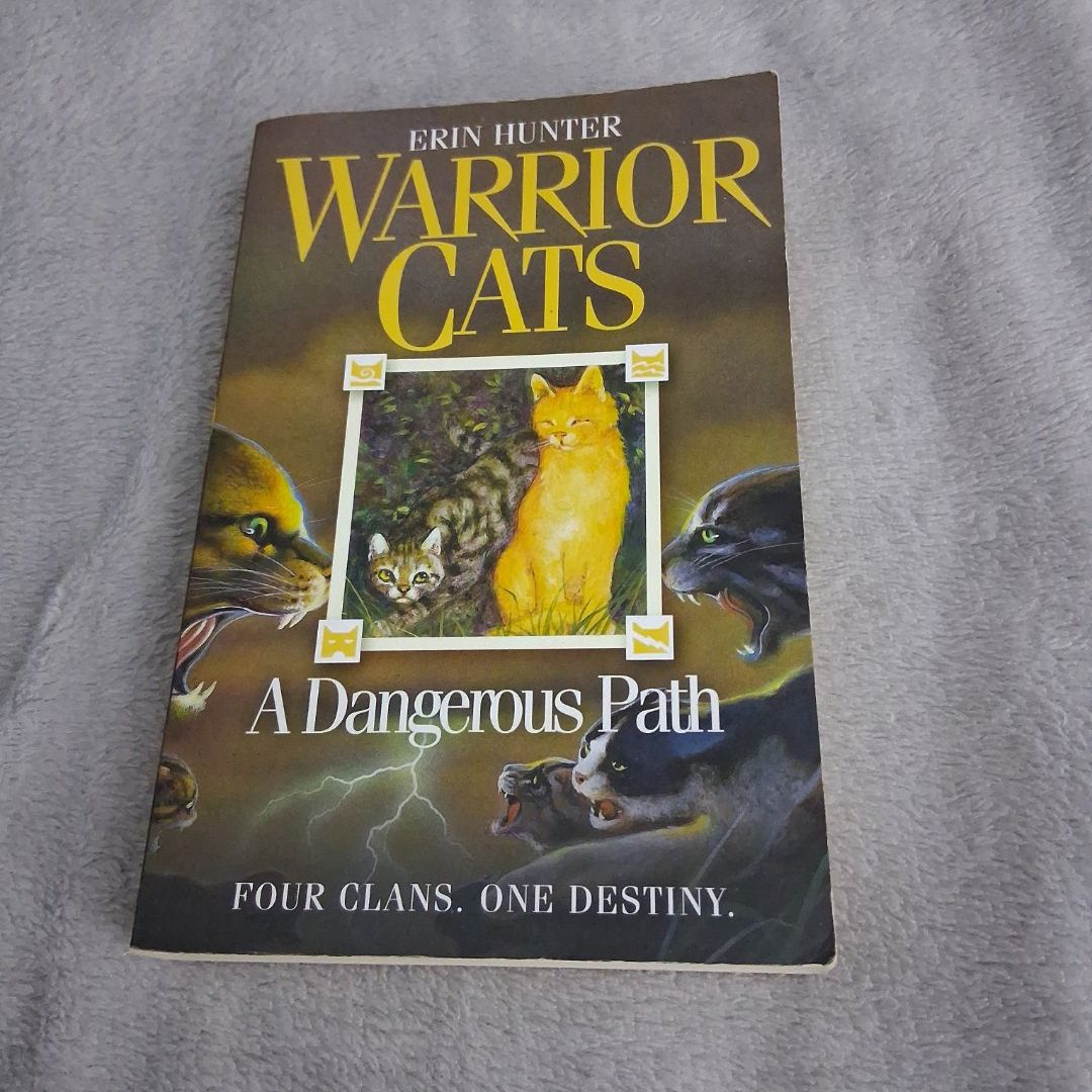 A Dangerous Path