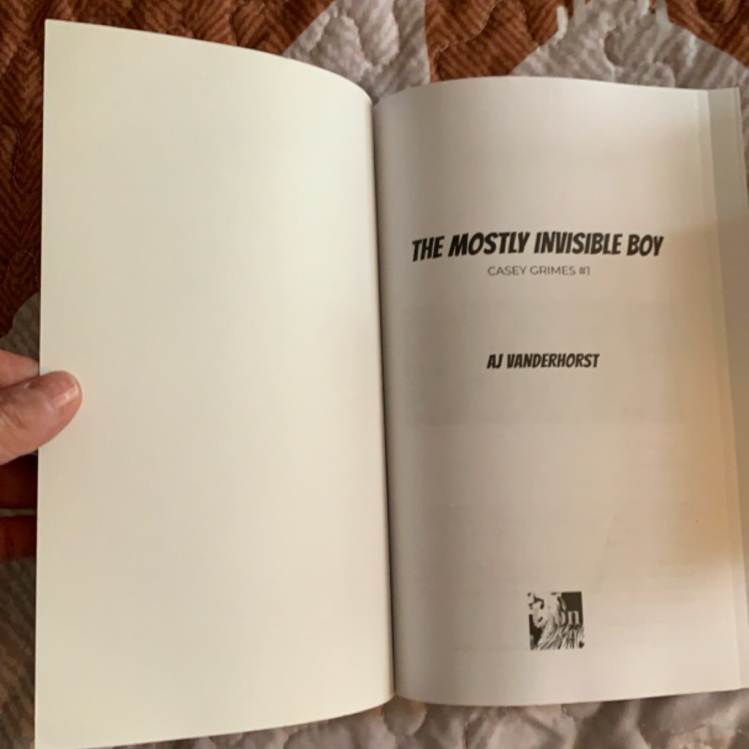The Mostly Invisible Boy