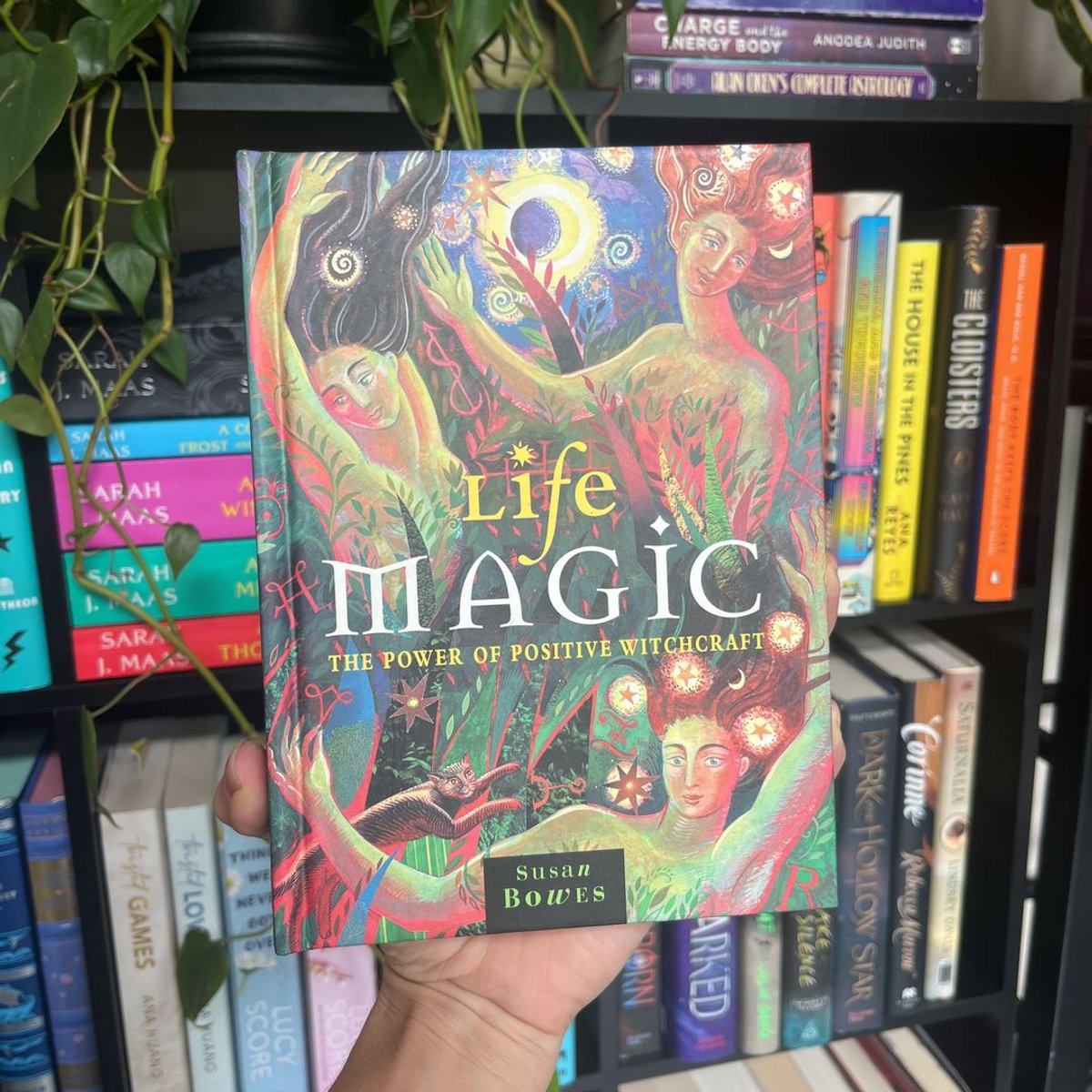 Life Magic by Susan Bowes