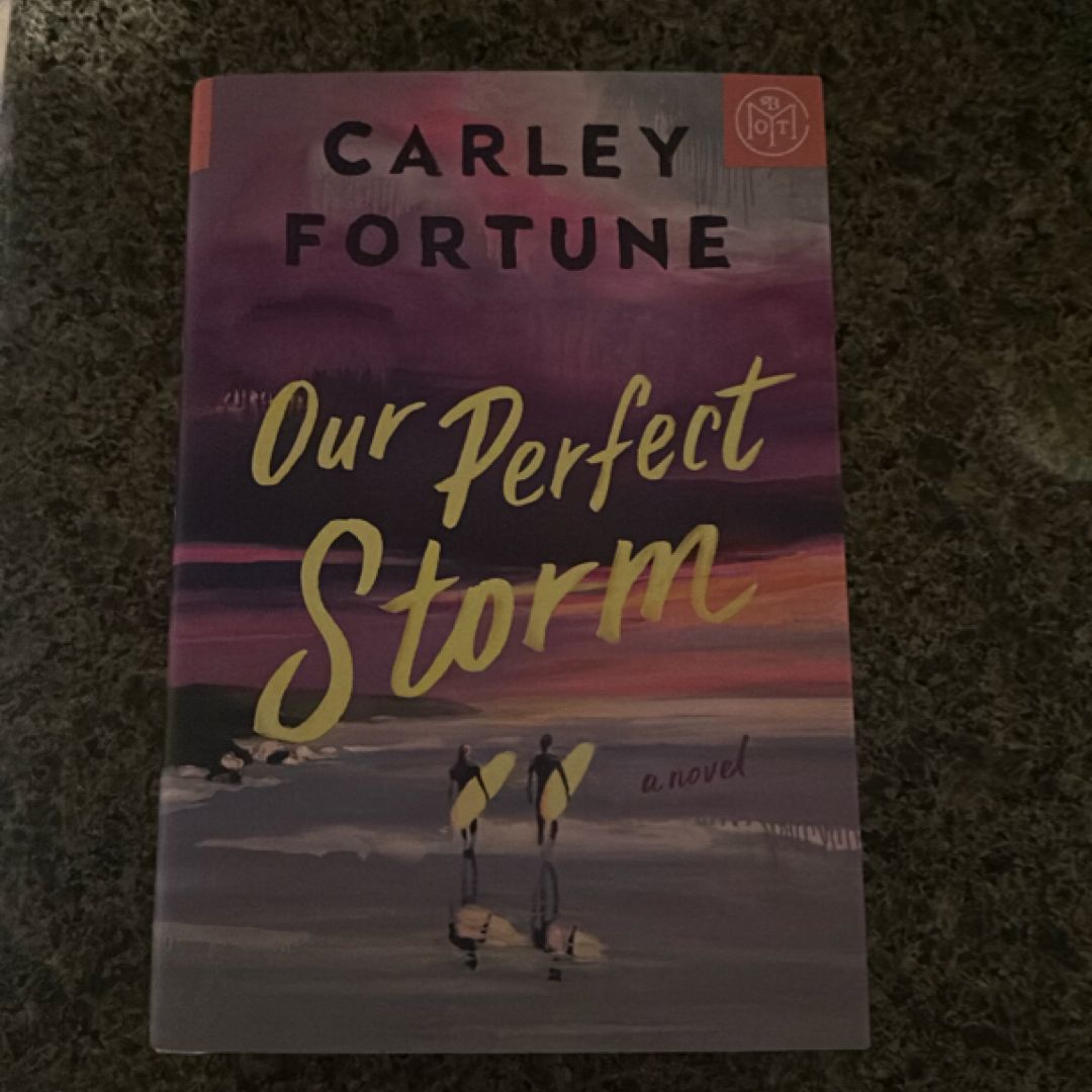 Our Perfect Storm