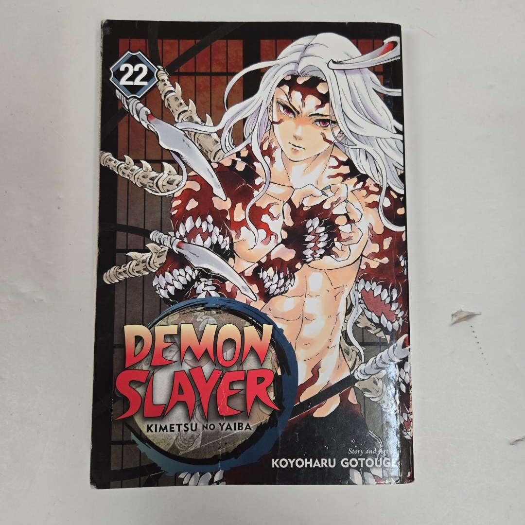 Demon Slayer: Kimetsu No Yaiba, Vol. 22