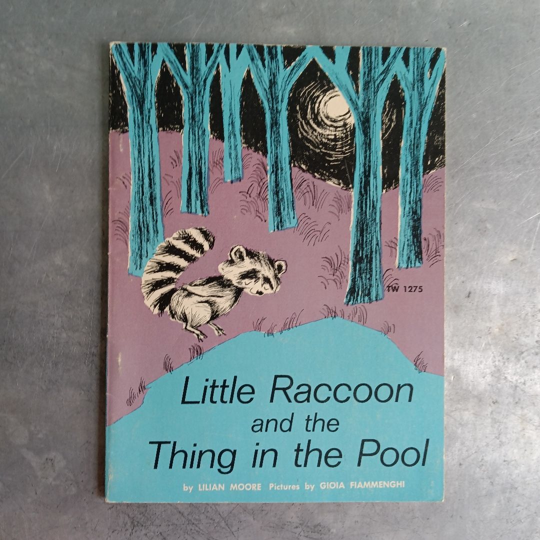 Little Raccoon And The Thing In The Pool