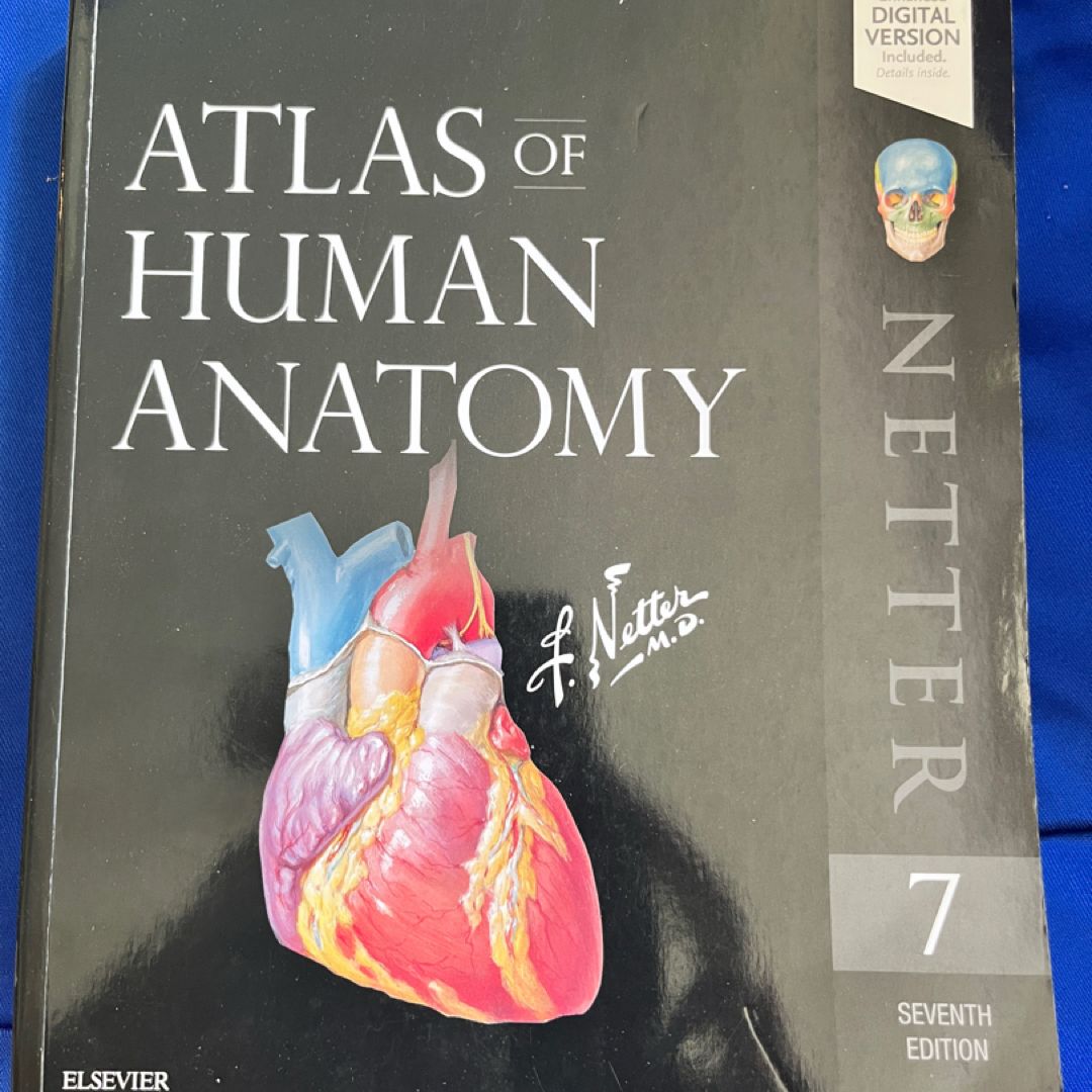 Atlas of Human Anatomy