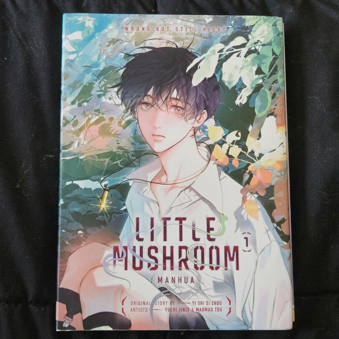 Little Mushroom