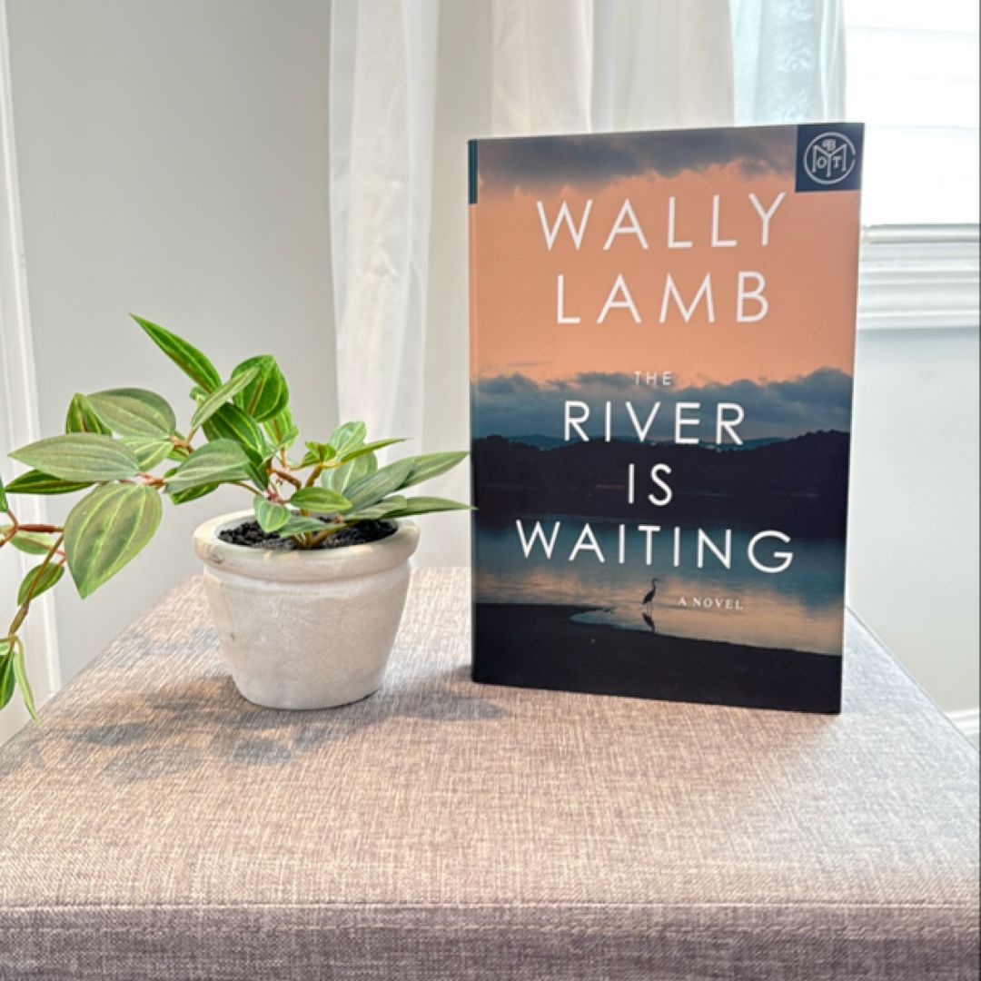 The River Is Waiting (Oprah's Book Club)