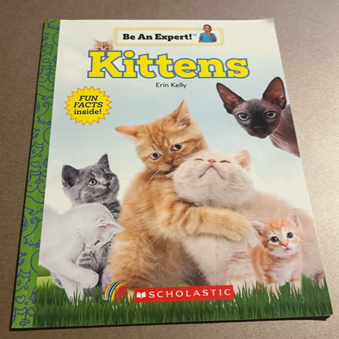 Kittens (Be an Expert!) (paperback)
