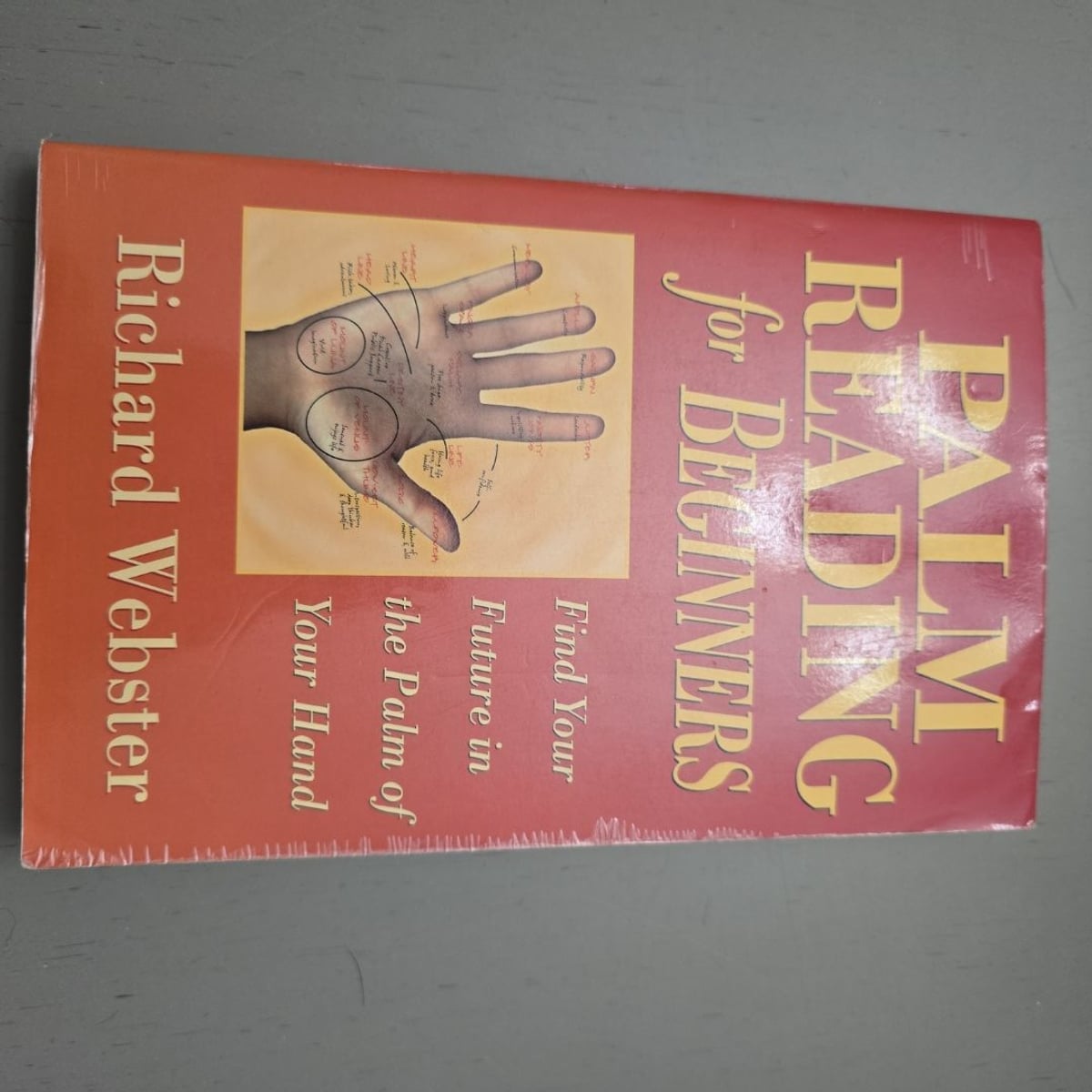 Palm Reading for Beginners by Richard Webster