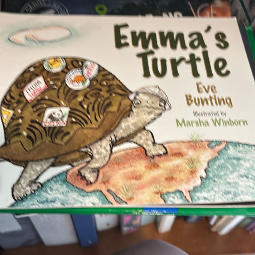 Emma's Turtle