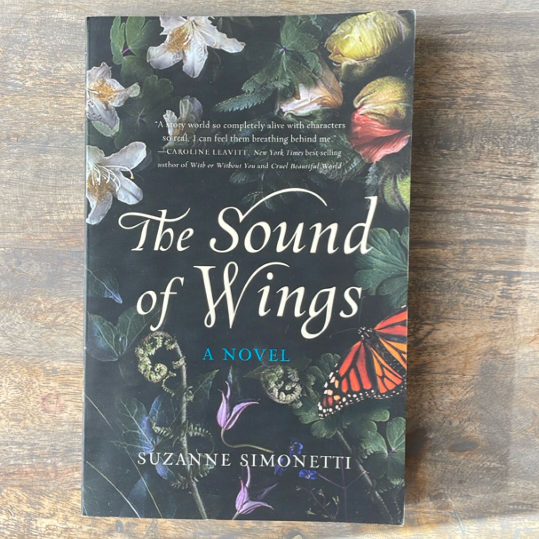 The Sound of Wings