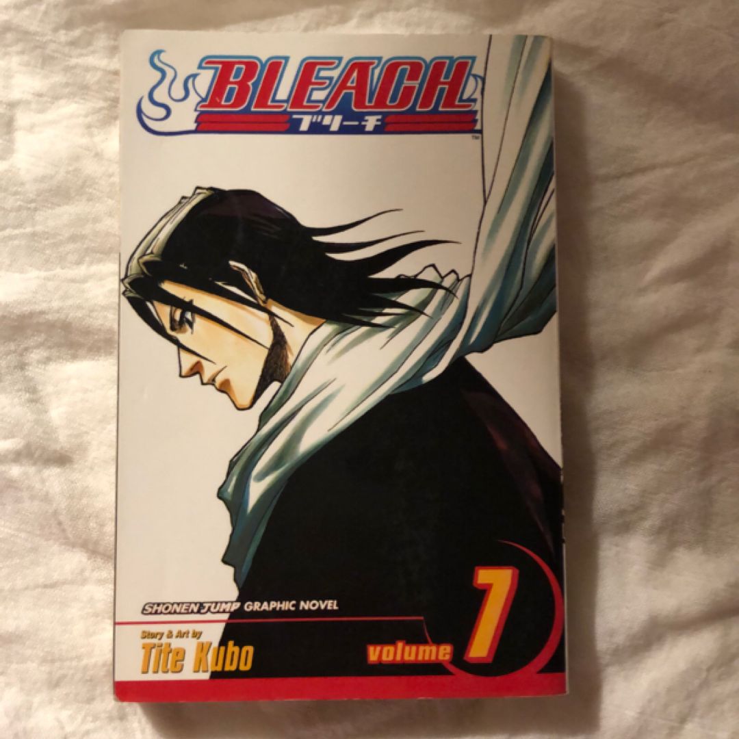 Bleach, Vol. 7