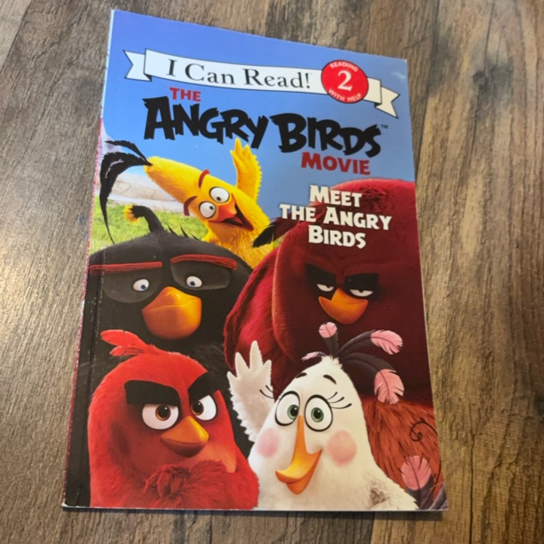 The Angry Birds Movie: Meet the Angry Birds