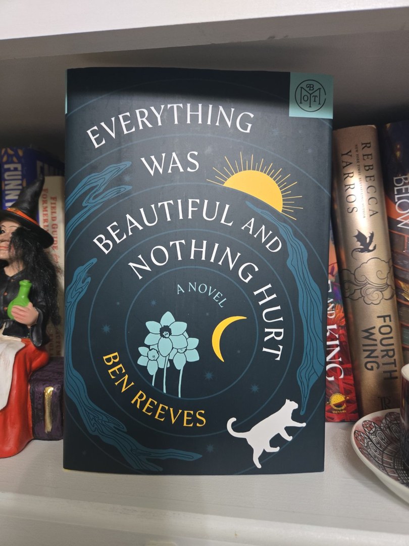 Everything Was Beautiful and Nothing Hurt