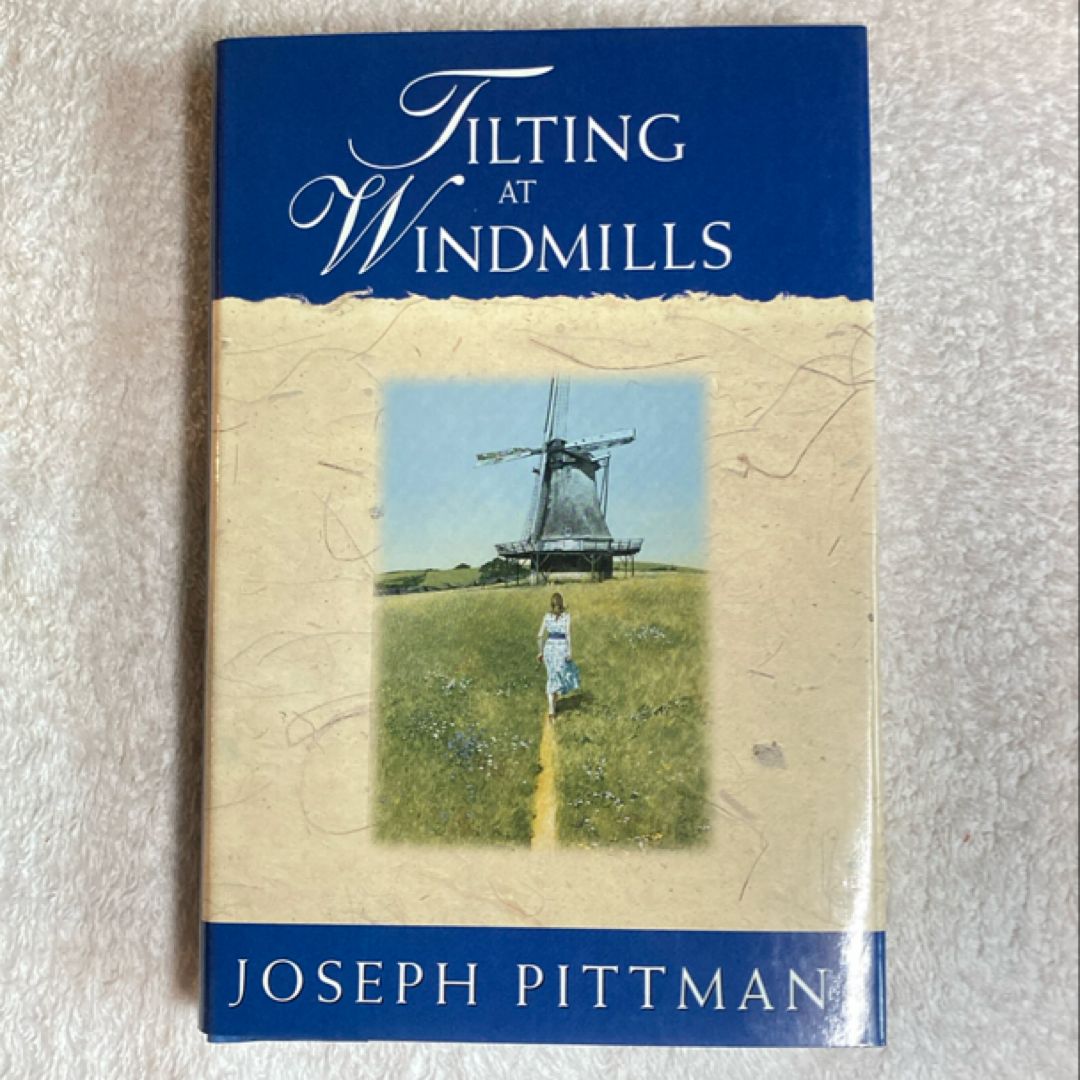 Tilting at Windmills 25C