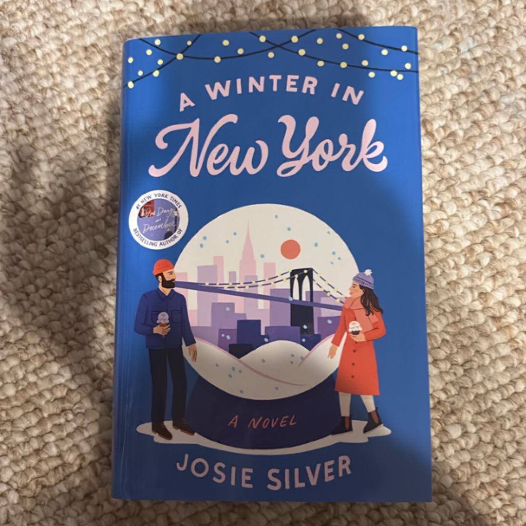 A Winter in New York