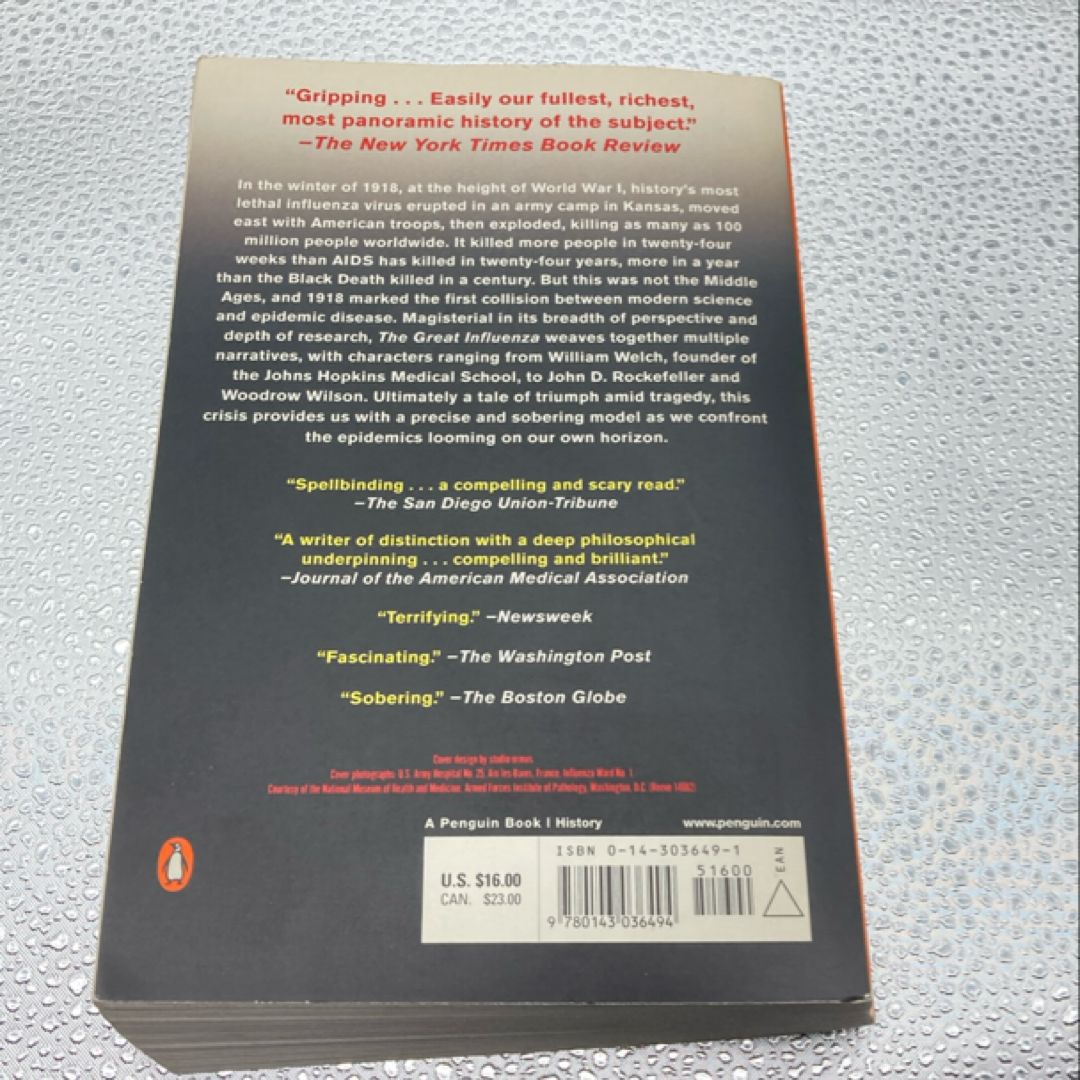 The Great Influenza