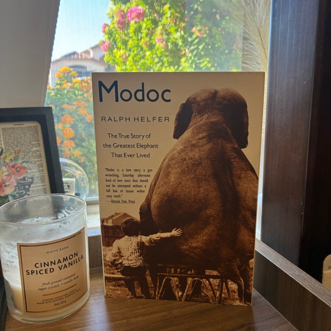 🍁Modoc