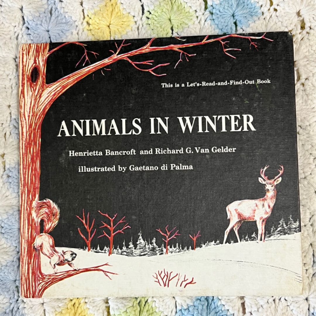 Animals in Winter 